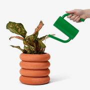 Tango Watering Can: Yellow