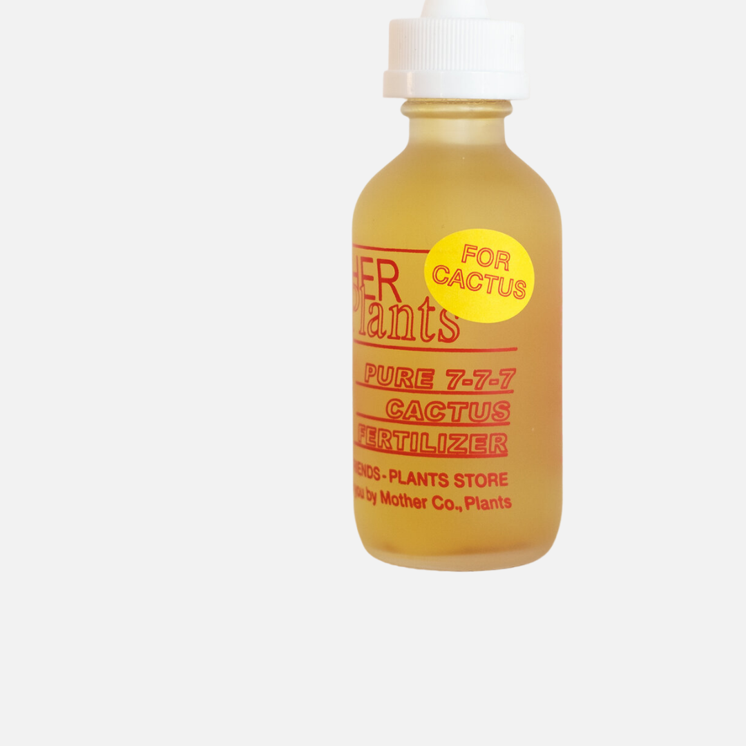 Cactus Fertilizer – YUNS