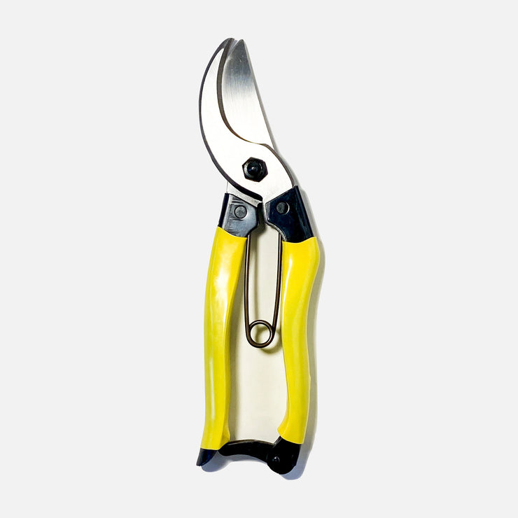Japanese Everyday Plant Secateurs