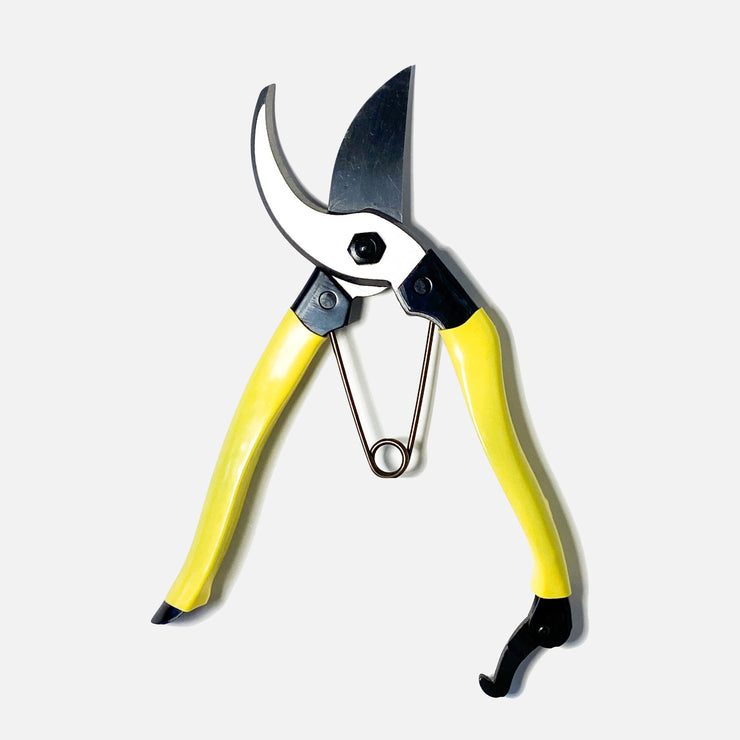 Japanese Everyday Plant Secateurs